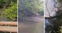 Київське море забруднюється стічними водами з боку Бучі: загроза питній воді столиці