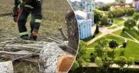Киян стурбували плани зрізання дерев на історичних пагорбах