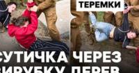 Сутички на Теремках: кияни протестують проти вирубки дерев для теплотраси, муніципальна охорона застосовує силу