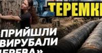 Скандал на Теремках: Київська влада зупинила будівництво теплотраси через парк після протестів
