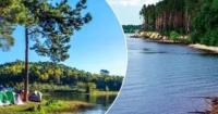 «Золотий пісок» біля Київського моря: ділки заробляють на оренді пляжних місць