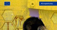 Україна — другий постачальник меду до ЄС: як Євросоюз підтримує українських пасічників