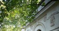 Натолінський парк: Як українські магнати формували культурний ландшафт Європи