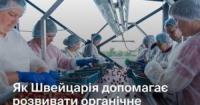З Рівненщини на ринки Європи: як органічне ягідне підприємство розвиває громади за підтримки Швейцарії