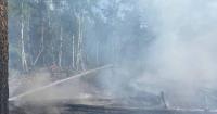 У Чорнобилі вже тиждень ліквідовують пожежу, яка спалахнула внаслідок падіння російських БПЛА (фото)