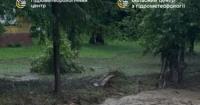 Селі в Україні: що це таке, як формуються та де несуть найбільшу небезпеку