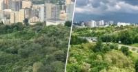 Верховний Суд захистив Протасів Яр: Київська зелена зона отримала статус заказника