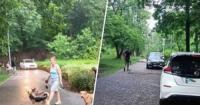 Голосіївський парк перетворився на проїжджу частину: кияни вимагають захисту від автохав