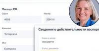 Громадянка РФ залишила керівництво бізнесу в Україні після розслідування «Схем»