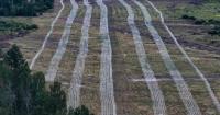 Українські військові збудували потужні укріплення на півночі Київщини