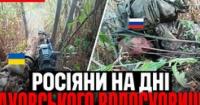 Українські захисники відбили штурм на Запоріжжі, захопили російський танк та знищили ворожу техніку: Зведення Армії Медіа