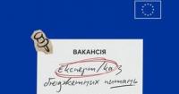 Делегація ЄС в Україні шукає експерта з бюджетних питань: деталі вакансії