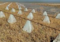 14 млн грн збитків: на Дніпропетровщині розслідують розкрадання на фортифікаціях