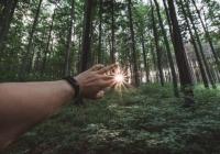 Прогноз погоды на 4 июня: в Украину придет потепление