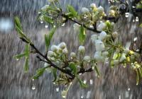 Тепла в мае не ждите: синоптик рассказал, какой будет весна в Украине