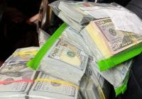 На Закарпатті затримали голову ВЛК: під час обшуків вилучили понад 11 мільйонів гривень