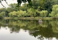 Погода в Україні: циклон відступає, очікується потепління з сонцем