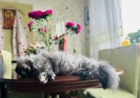 В Україні посилиться осіння погода: очікуються дощі та зниження температури