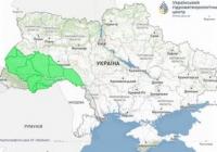 Річки України очікують підняття рівня води через сильні опади: попередження Гідрометцентру