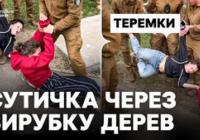 Сутички на Теремках: кияни протестують проти вирубки дерев для теплотраси, муніципальна охорона застосовує силу