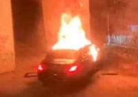 В убивстві у Відні сина заступника мера Харкова підозрюють пасинка амбасадорки України в Болгарії