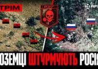 Іноземні штурмовики, F-16, дрони та РЕБ: як Україна протидіє російській агресії