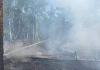 У Чорнобилі вже тиждень ліквідовують пожежу, яка спалахнула внаслідок падіння російських БПЛА (фото)