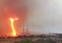 Чорнобильською зоною пронісся вогняний смерч (відео)