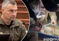 Кияни вимагають заборонити «живі куточки» в дитсадках через стрес тварин та алергії у дітей