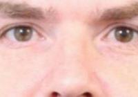 Ліквідація терориста в Києві: деталі спецоперації КОРДу в Голосіївському районі