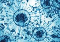 Новий штам COVID-19 «Цикада» поширюється світом: що відомо про ризики для дітей