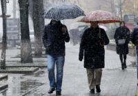 Прогноз погоды на 21 января: в Украине ожидают снег, гололед и порывистый ветер