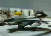 Росіяни знищили наш F-16 дроном біля Кропивницького, але є нюанс (відео)