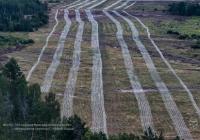 Українські військові збудували потужні укріплення на півночі Київщини