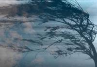 Киянам буде найгірше: 5 лютого в Україні потеплішає, але є вкрай неприємний нюанс