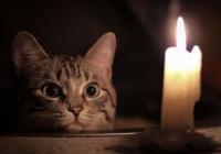 Блекаути б’ють по кишенях українців: що буде з цінами на продукти далі