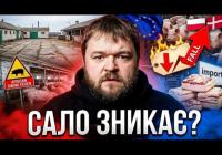 Українців годують імпортним салом: причина здешевлення продукту та стратегічні провали галузі