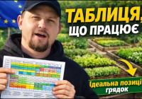 Секрет врожаю без хімії: як європейська таблиця сумісності рослин допомагає українським городам