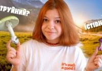 Смертельна омана лісу: Найотруйніші гриби України