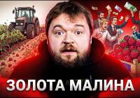 Українська малина: Від локального дефіциту до світового лідерства завдяки європейським викликам
