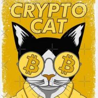 Crypto Cat
