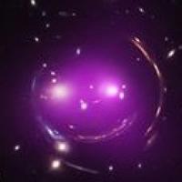 Елена Алексеева