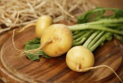 Лучше и полезнее картофеля: Незаслуженно забытый овощ — репа