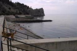 Крым поперек горла: иллюстрация одного жлобства