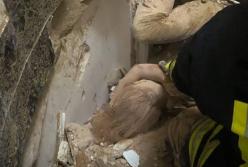 "Байден скаже: ракети ми дамо після стількох загиблих українських дітей", або США рахують смерті