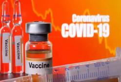 2021 год: борьба с COVID-19 и вакцинация будут непростыми 