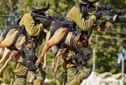 Оружие, которое умнее человека