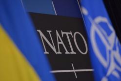 «Очередная клоунада власти»: соцсети обсуждают референдум о присоединении к НАТО