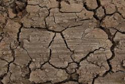 Исследования доказывают, что употребление грязи в пищу может помочь похудеть