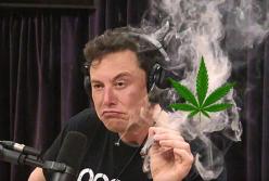 Ученые сделали сенсационное открытие: курение марихуаны убивает рак